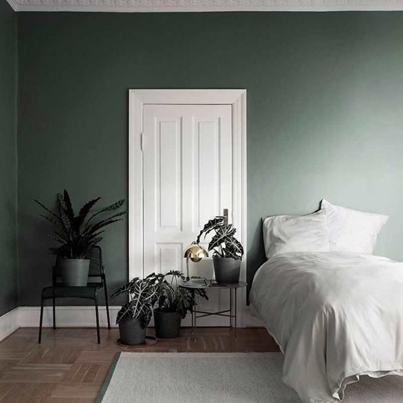 - hiệu gì đồ đạc trong mùa hè không sầu nhập khẩu đồ đạc?