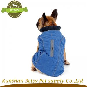 Chó nuôi. Bộ trang phục màu vàng.