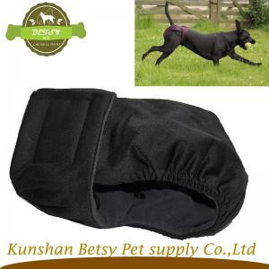 Chất lượng cao nữ chó mùa quần