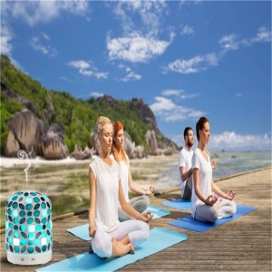 B2b marketplace 2018 ý tưởng sản phẩm mới khuếch tán hương thơm thủy tinh