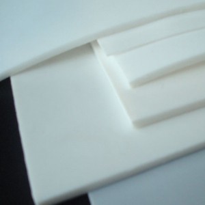 Ống PTFE
