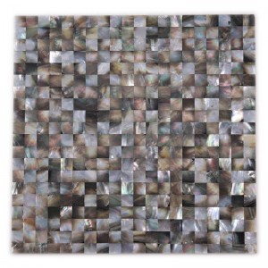 Thiết kế mới nhất Trang trí nội thất Tường bào ngư Chổi lau nhà