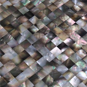 Thiết kế mới nhất Trang trí nội thất Tường bào ngư Chổi lau nhà