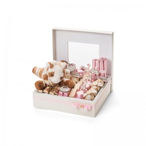 Bán hộp bao bì macaron nóng với thiết kế nắp macaron