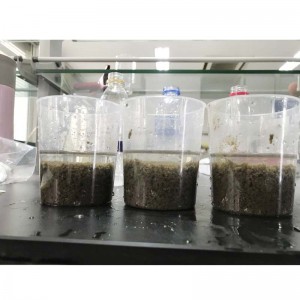 Giá cationic polyacrylamide cho xử lý nước thải đô thị