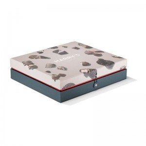 nhà máy trực tiếp tuyệt đẹp bao bì hộp các tông giấy quà tặng với logo tùy chỉnh