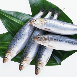 Cá mòi đông lạnh