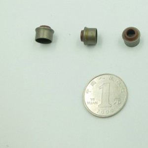 Trung Quốc FKM nhà máy cao su van con dấu ruber dầu con dấu cho xe máy