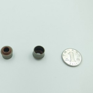 Trung Quốc FKM nhà máy cao su van con dấu ruber dầu con dấu cho xe máy