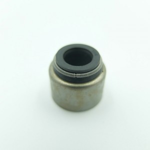 Phụ tùng ô tô Con dấu cao su van Viton cho động cơ