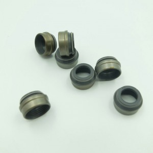 Phụ tùng cao su tự động Van dầu con dấu cho sau khi thay thế thị trường