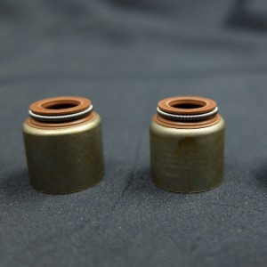 Nhà cung cấp Trung Quốc Van con dấu dầu gốc cho xe ô tô Renault