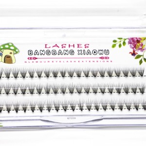 Bán nóng 10p Root Root Flare Khối lượng 3d Mở rộng lông mi