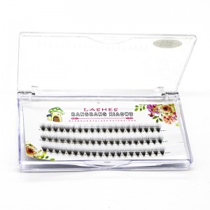 Mở rộng cụm lông mi 2D đến 20 D Volume