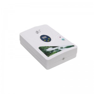 Máy trị liệu Ozone cho trái cây và rau quả