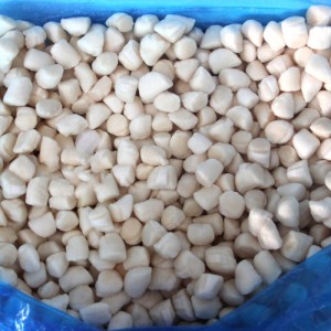 Thịt sò điệp đông lạnh