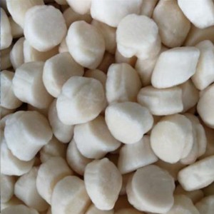 Thịt sò biển đông lạnh