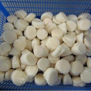 Thịt sò biển đông lạnh