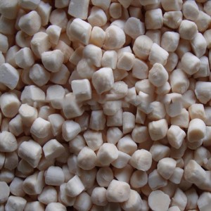 Thịt sò biển đông lạnh