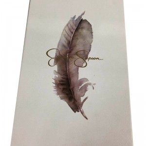 Hộp đựng giày cónắp loại1