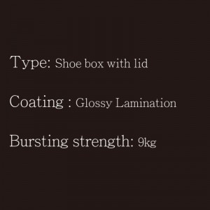 Hộp đựng giày cónắp loại1