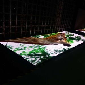 P8.928 Màn hình Led sàn nhảy ngoài trời / Tường video Led