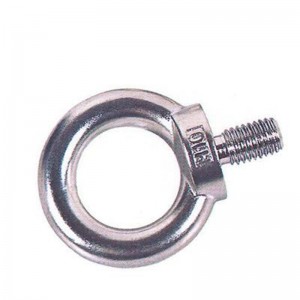 Nhà sản xuất Trung Quốc DIN580 Nâng thép không gỉ Bolt