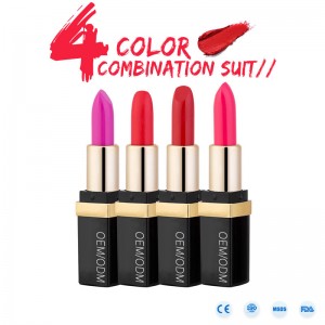 Nhãn hiệu riêng chất lượng cao không thấm nước mờ lâu trôi son môi