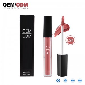 Nhãn hiệu riêng Chất lượng cao Colorpop Matte Lipgloss Liquid Lipstick OEM Lipgloss