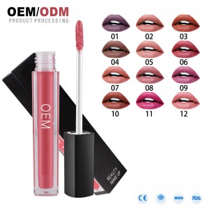 Nhãn hiệu riêng Chất lượng cao Colorpop Matte Lipgloss Liquid Lipstick OEM Lipgloss