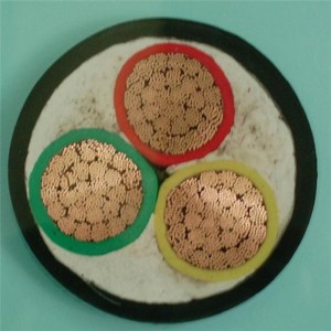 0,6 / 1kv 3 X 6 mm2 Dây cáp điện LV Dây dẫn cách điện Cu rắn / mắc kẹt