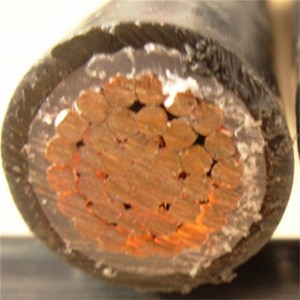 Cáp điện Frls chống cháy điện áp thấp với dây dẫn đồng