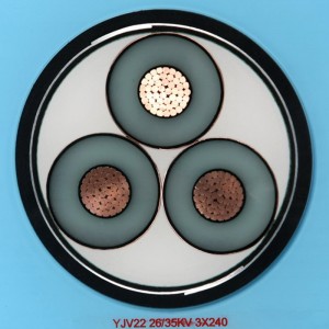 Cáp điện trung thế được bảo vệ và đồng tâm Cáp trung tâm Nước và đáy biển CSA C68.5