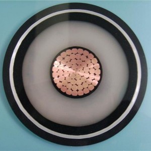 Dây điện 110kv Xlpe HV Dây dẫn phân đoạn nhỏ gọn 1000mm2