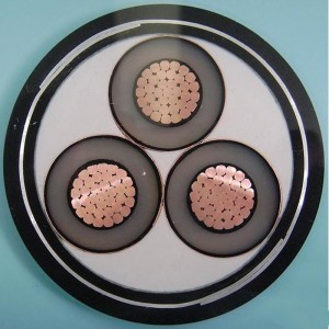 Cáp bọc thép 1-30KV 6 mm 3 lõi Swa IEC60502, Sans 1339, BS 6622, AS / NZS1429.1, NFC 33226, CSA C 68.5