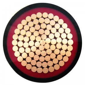 NYCY cáp đồng cách điện PVC và cáp điện áp thấp Pvc