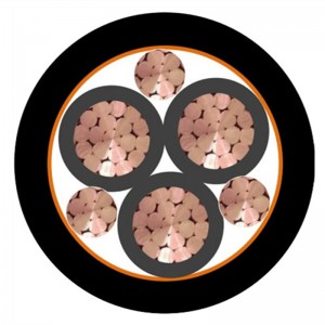 Cáp VFD Cáp đồng điện áp thấp được bảo vệ Cáp XLPE / PVC