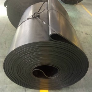 Băng tải vô tận