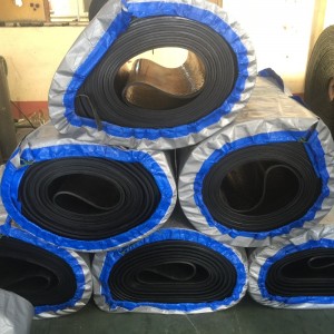 Băng tải vô tận