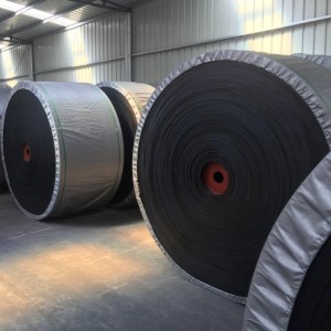 Băng tải chống hóa chất / axit / kiềm