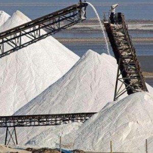 Băng tải chống hóa chất / axit / kiềm