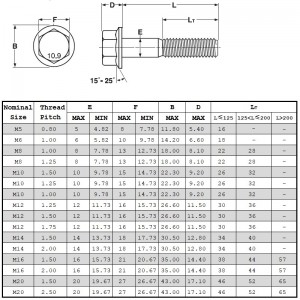 Din6921 Lớp 10.9