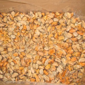 Thịt hến luộc đông lạnh