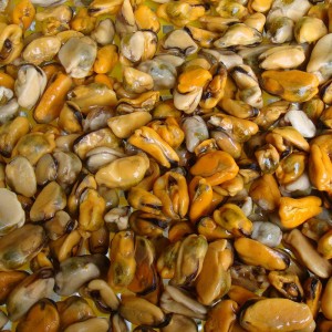 Thịt hến luộc đông lạnh