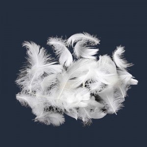 Vịt tự nhiên, lông ngỗng