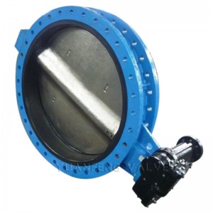 Van bướm mặt bích