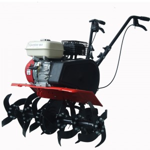 CÔNG TY TNHH SẢN XUẤT MÁY E-SHINE ZHEJIANG