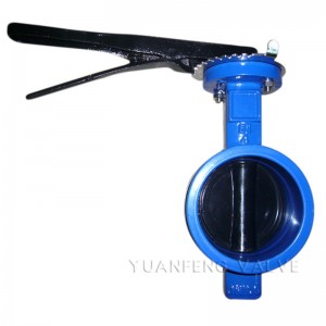 Van bướm cuối rãnh