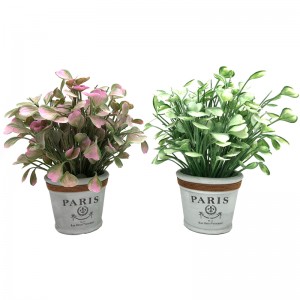 Cây nhân tạo thực tế cây lá mọng nhiệt đới Vườn văn phòng Trang trí nội thất