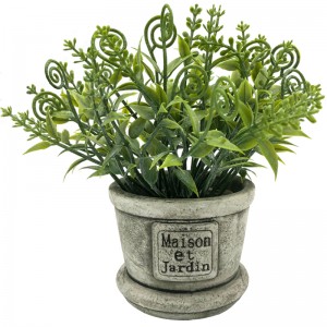 Cây nhân tạo thực tế cây lá mọng nhiệt đới Vườn văn phòng Trang trí nội thất